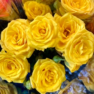 自然坊Natural Florist