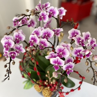 自然坊Natural Florist